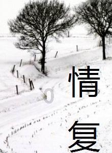舰无虚发：暗星